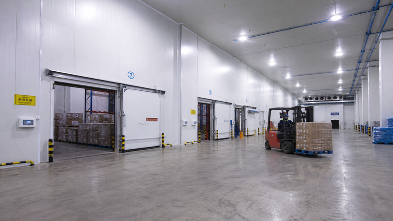 Cold-Chain Logistics & Controlled-Atmosphere Freezers