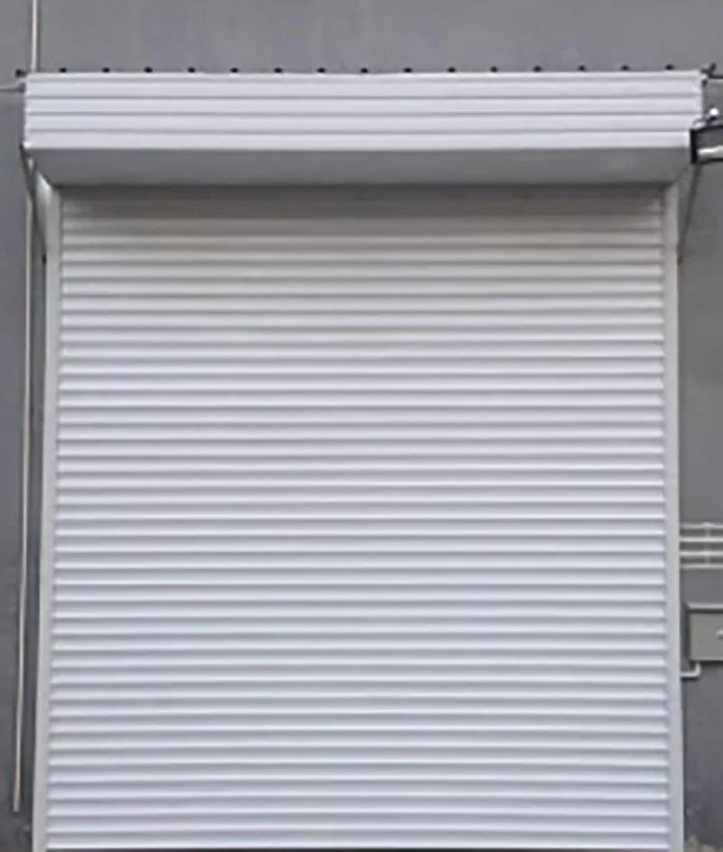 Stylish Aluminum Alloy Roller Shutter Door with Powder Coated Finish for Residential Garages White