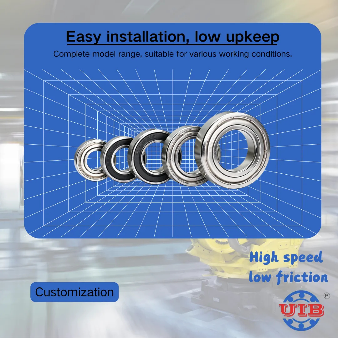 6218Z/6219Z/6218ZZ/6219ZZ Sealed & Shielded Deep Groove Bearings for Maximum Contaminant Protection