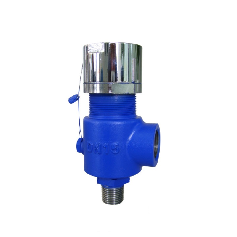 Factory Price ASME Standard Safety Valve for Steam Medium HFA21 Model
