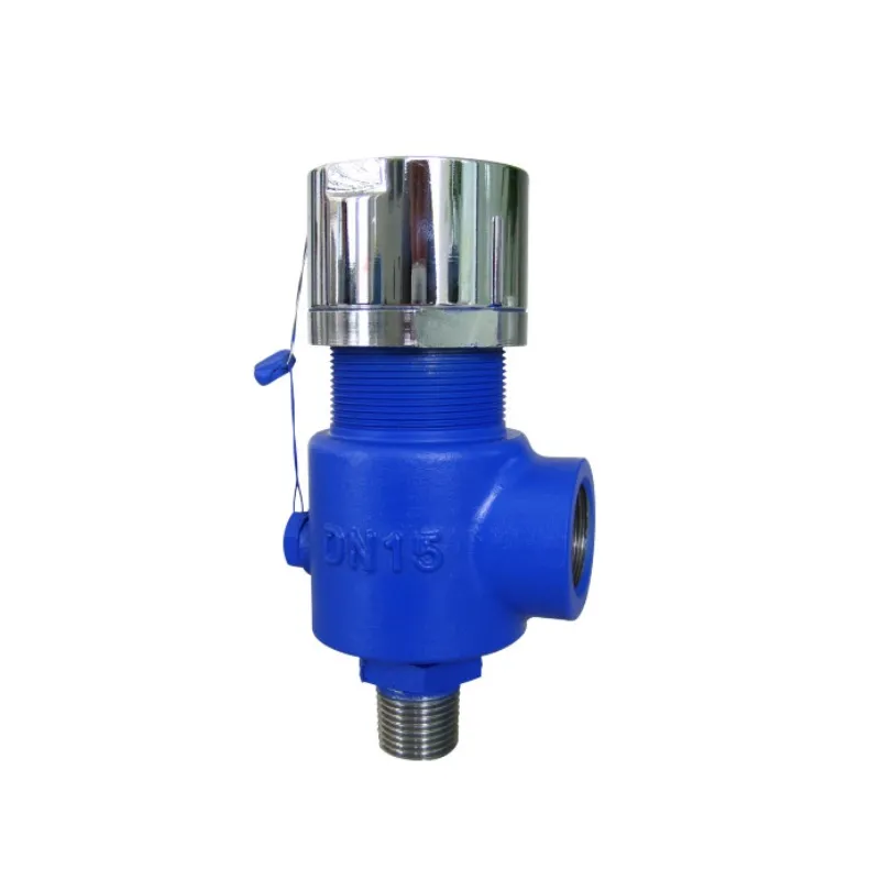 Factory Price ASME Standard Safety Valve for Steam Medium HFA21 Model