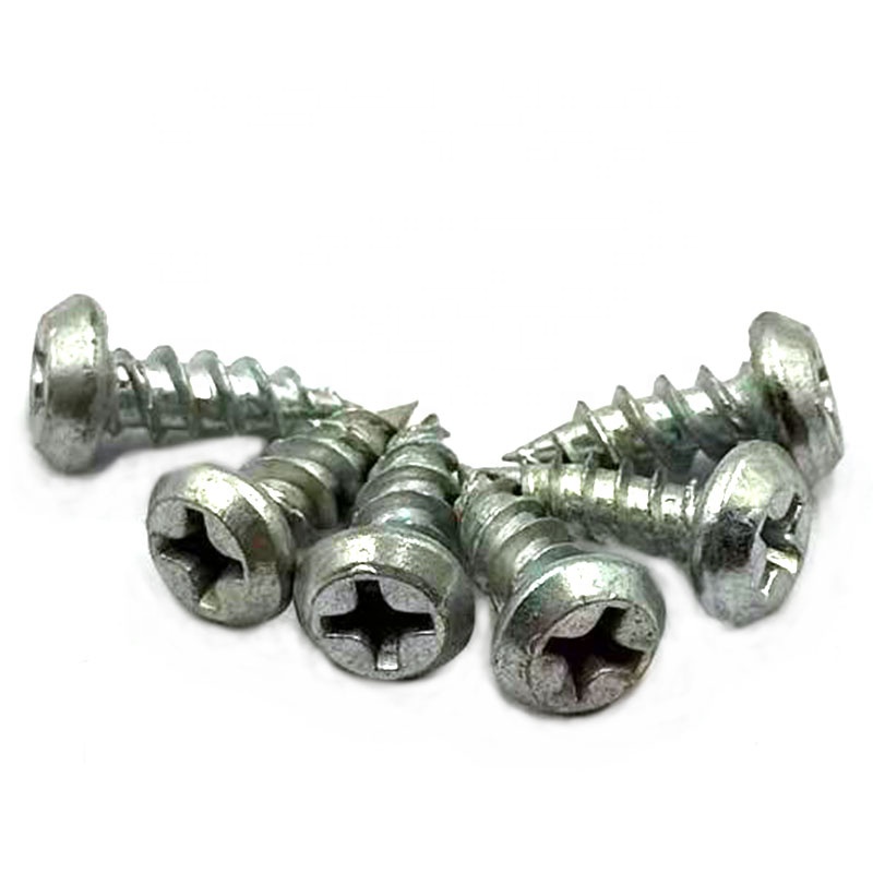 Hot China Manufacture Direct Supply Best Quality Pan Framing Head Self Tapping Screws Durable